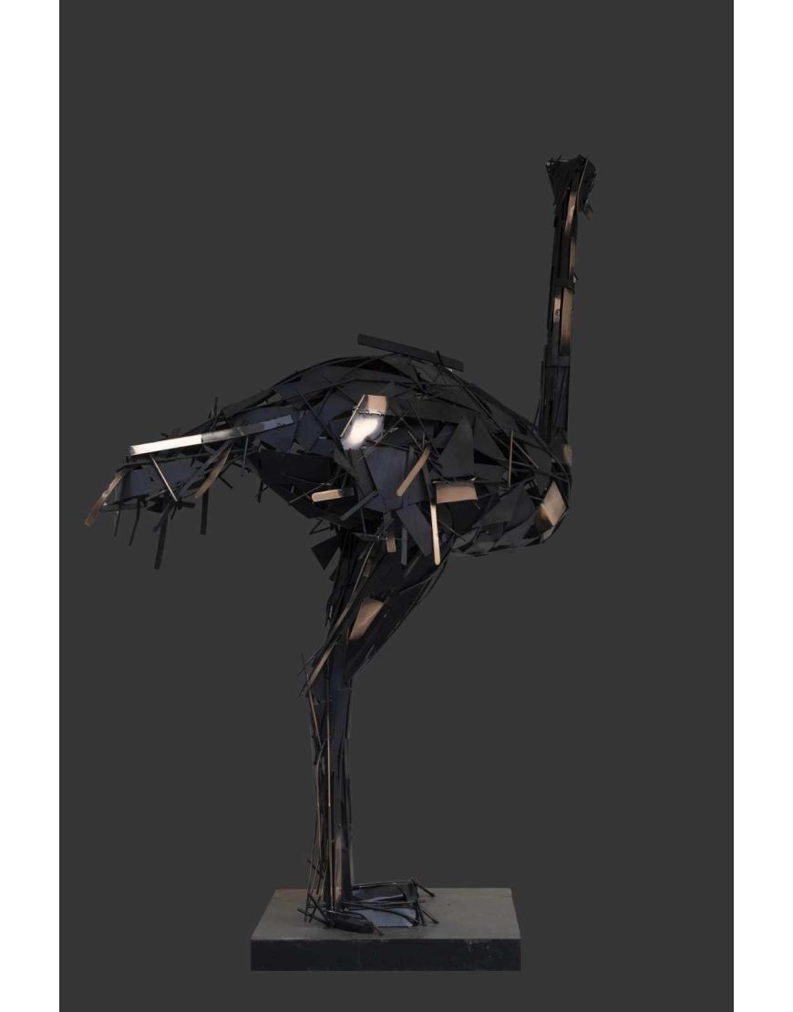 Ostrich