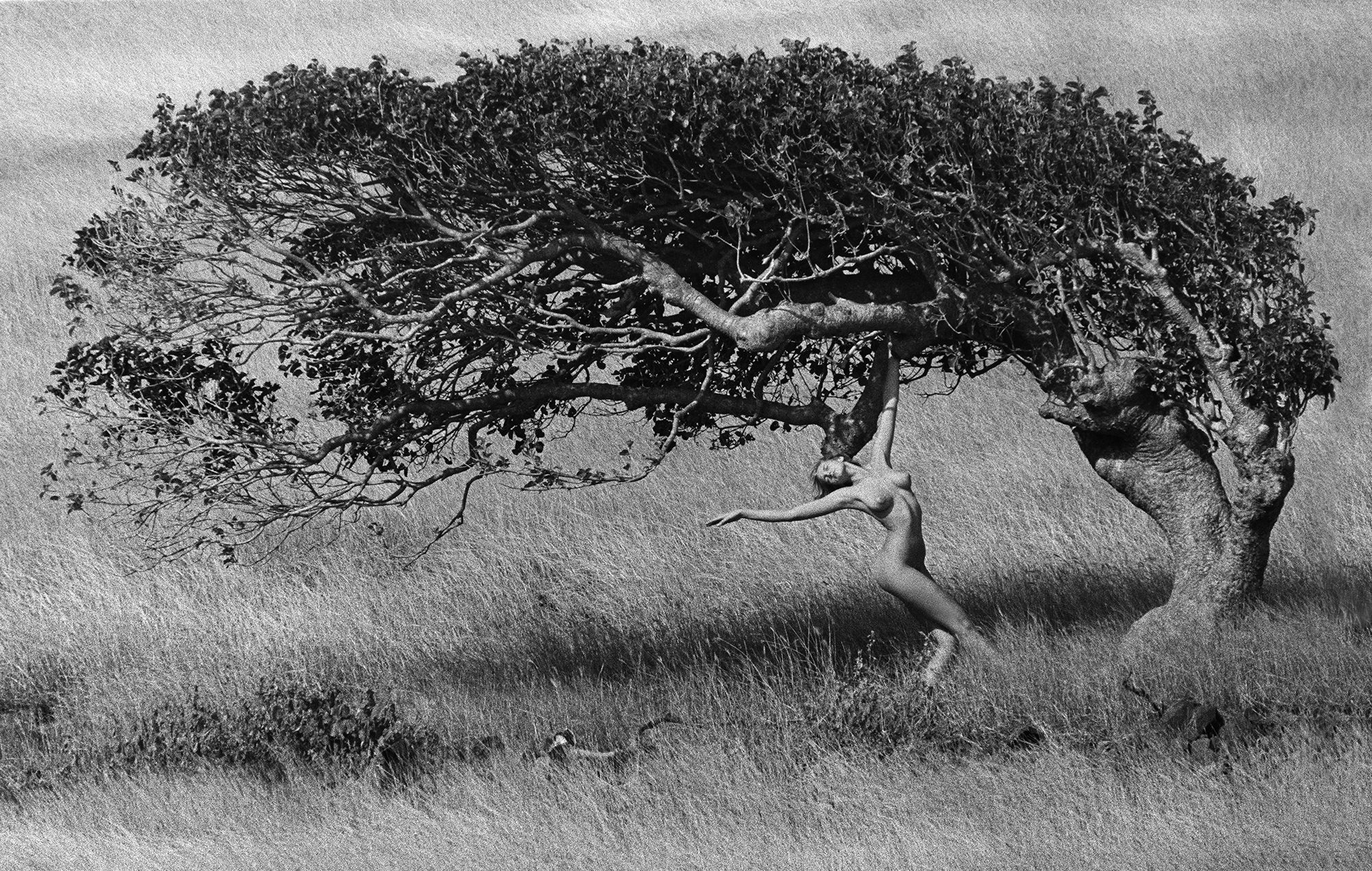 Ashley Richardson (St. Barth), 1984