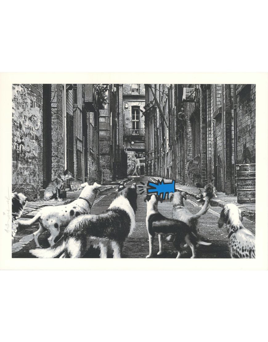 Alley Dogs - Blue