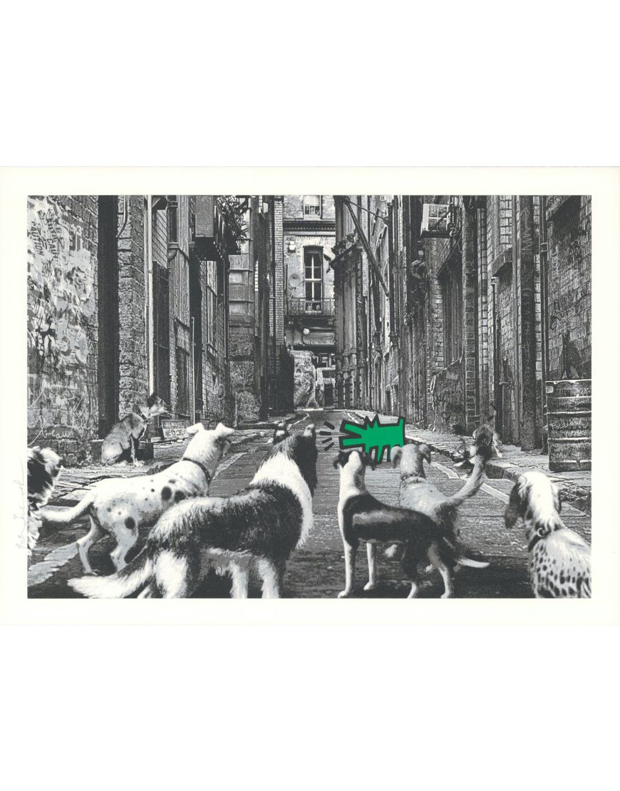 Alley Dogs - Green