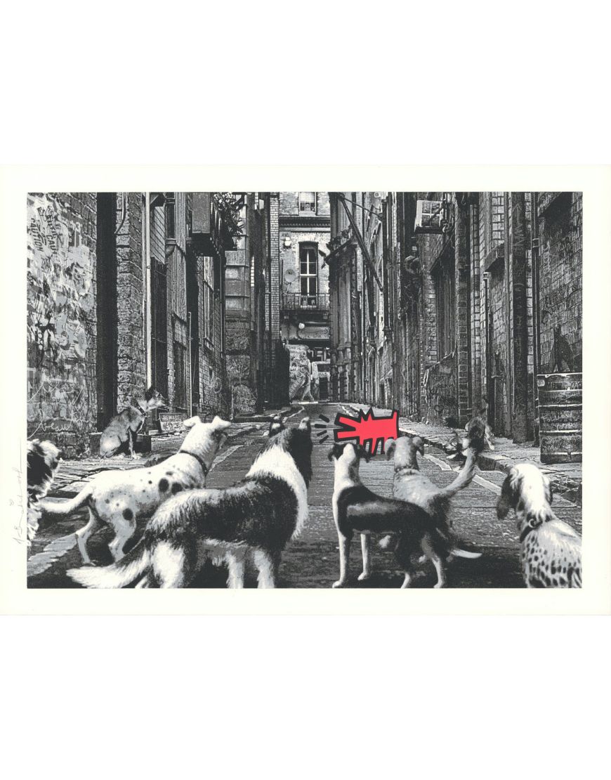Alley Dogs - Red
