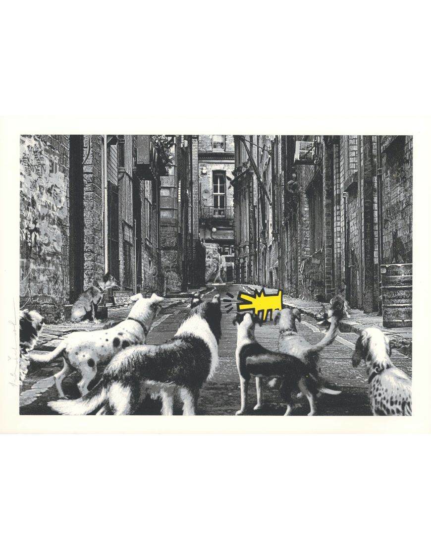 Alley Dogs - Yellow