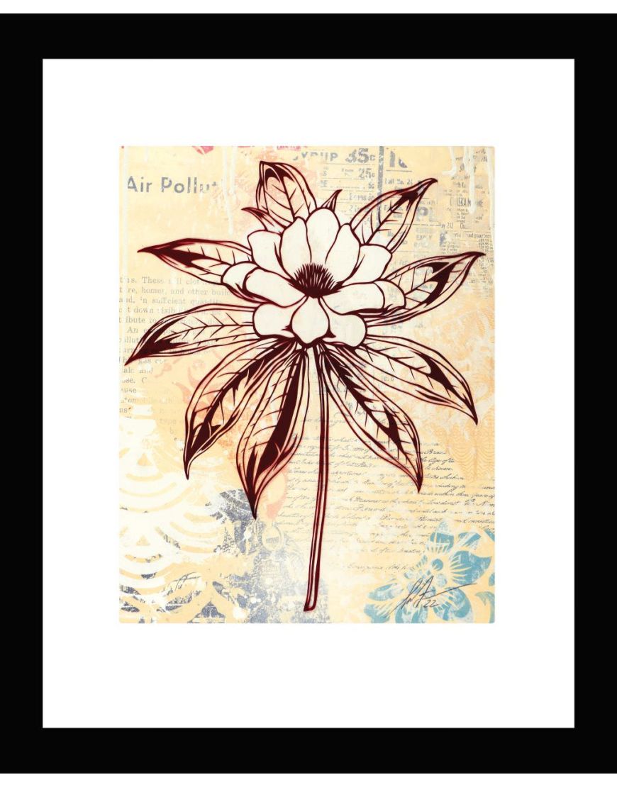 Magnolia