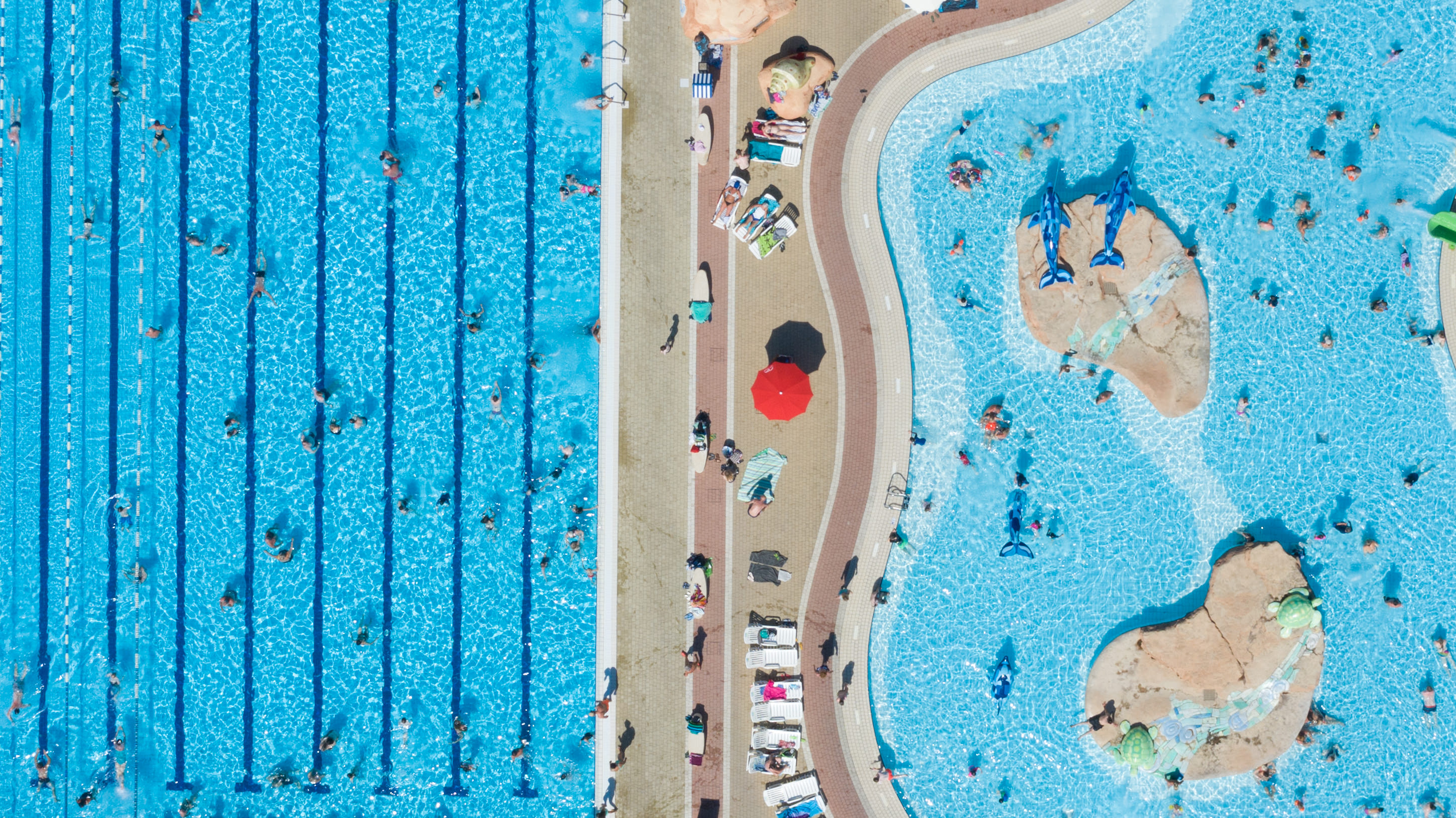 The Pool