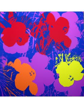 Flowers - Red/Orange/Yellow On Purple 11.66