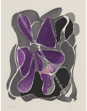 Purple flowers