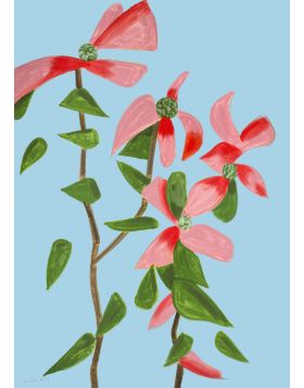 Red Dogwood 2 (from Flowers)