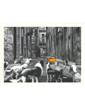 Alley Dogs - Orange