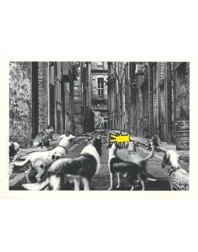 Alley Dogs - Yellow