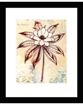 Magnolia