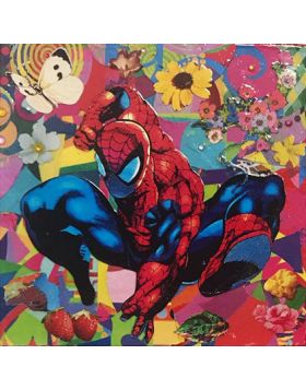 Little Spidy