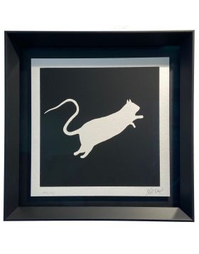 White rat (on black background)