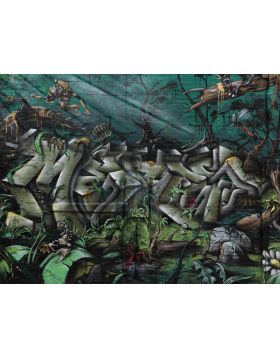Liu Bolin - No. 10 5 Pointz - Limited Edition of 6 Pieces - 2013