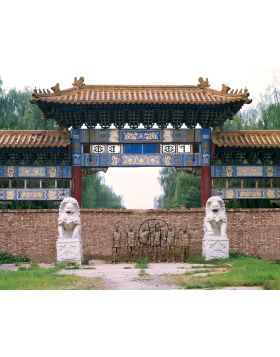 Liu Bolin - No.76 - Limited Edition of 8 Pieces - 2008