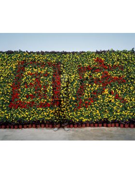 Liu Bolin - No.90 - Limited Edition of 8 Pieces - 2010