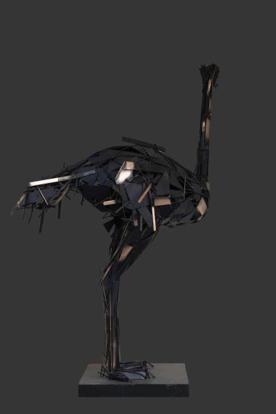 Ostrich 