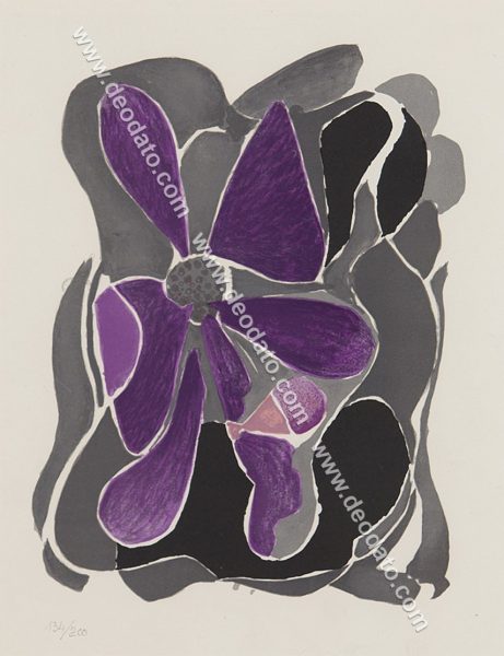 Purple flowers
