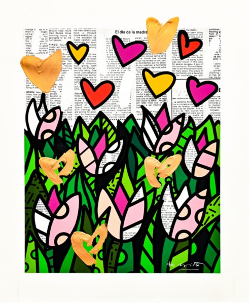 Tulips