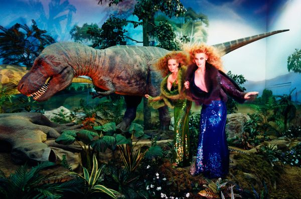 Young Girls With A Dinosaur 