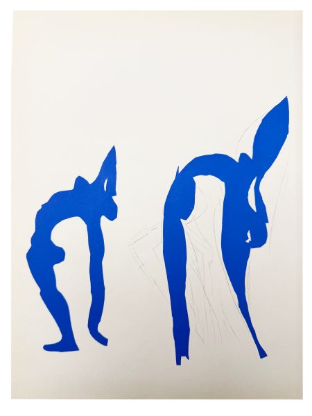 Acrobates