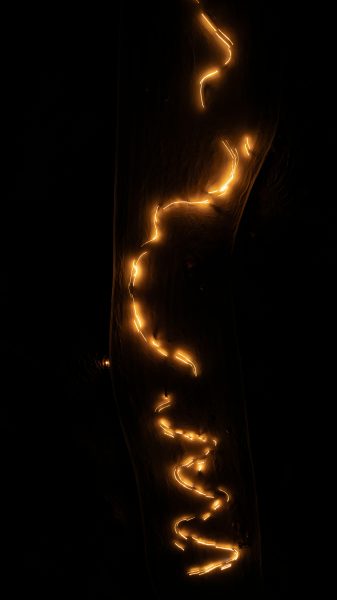 Night Fire 4