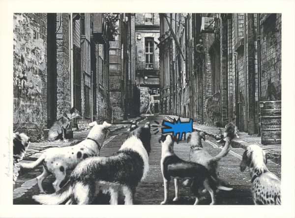 Alley Dogs - Blue