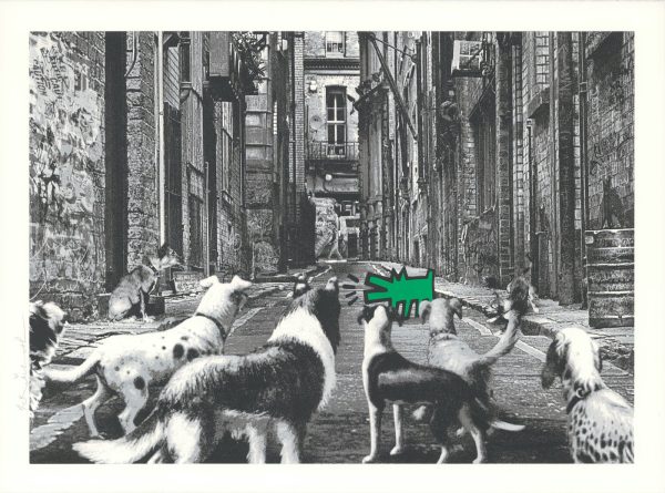 Alley Dogs - Green