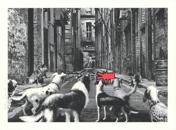 Alley Dogs - Red