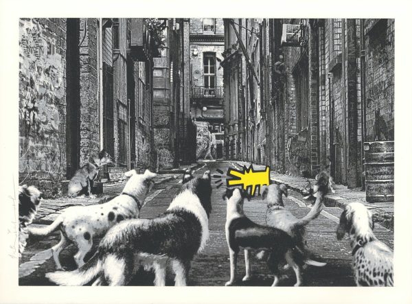 Alley Dogs - Yellow
