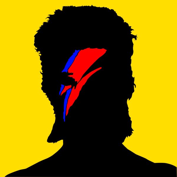 Unmistakable David