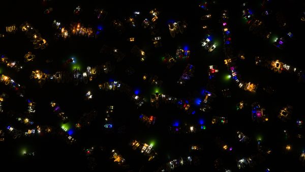 Venice Stars