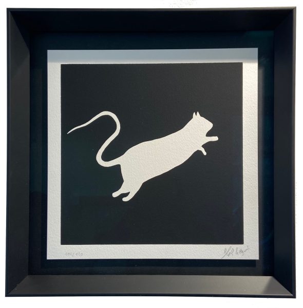 White rat (on black background)