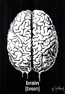 Mr Savethewall Brain Artwork Street Art Mr Savethewall Brain Artwork Street Art